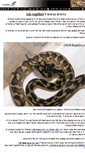 Mobile Screenshot of icb-reptiles.com